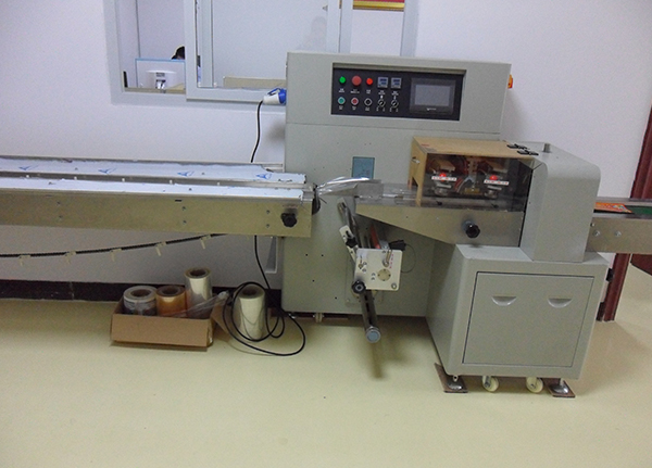 XM-350 下走紙枕式包裝機(jī)
